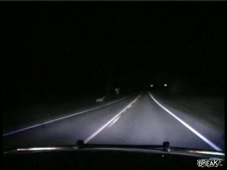 Cop Car Hits Deer